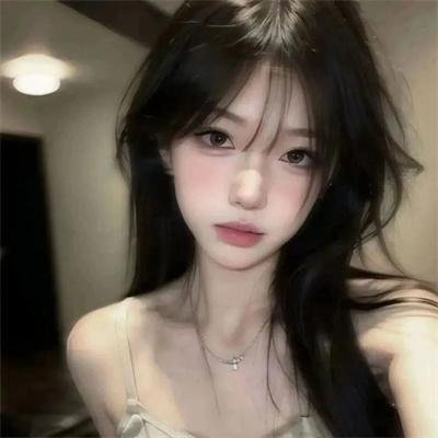 鬣狗之城